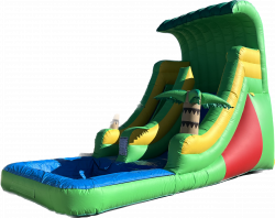 PALM TREE WET/DRY SLIDE $300